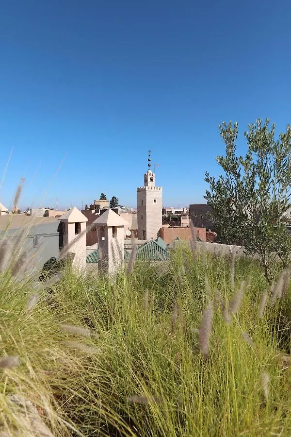 Riad Zaouia 44 Marrakesh