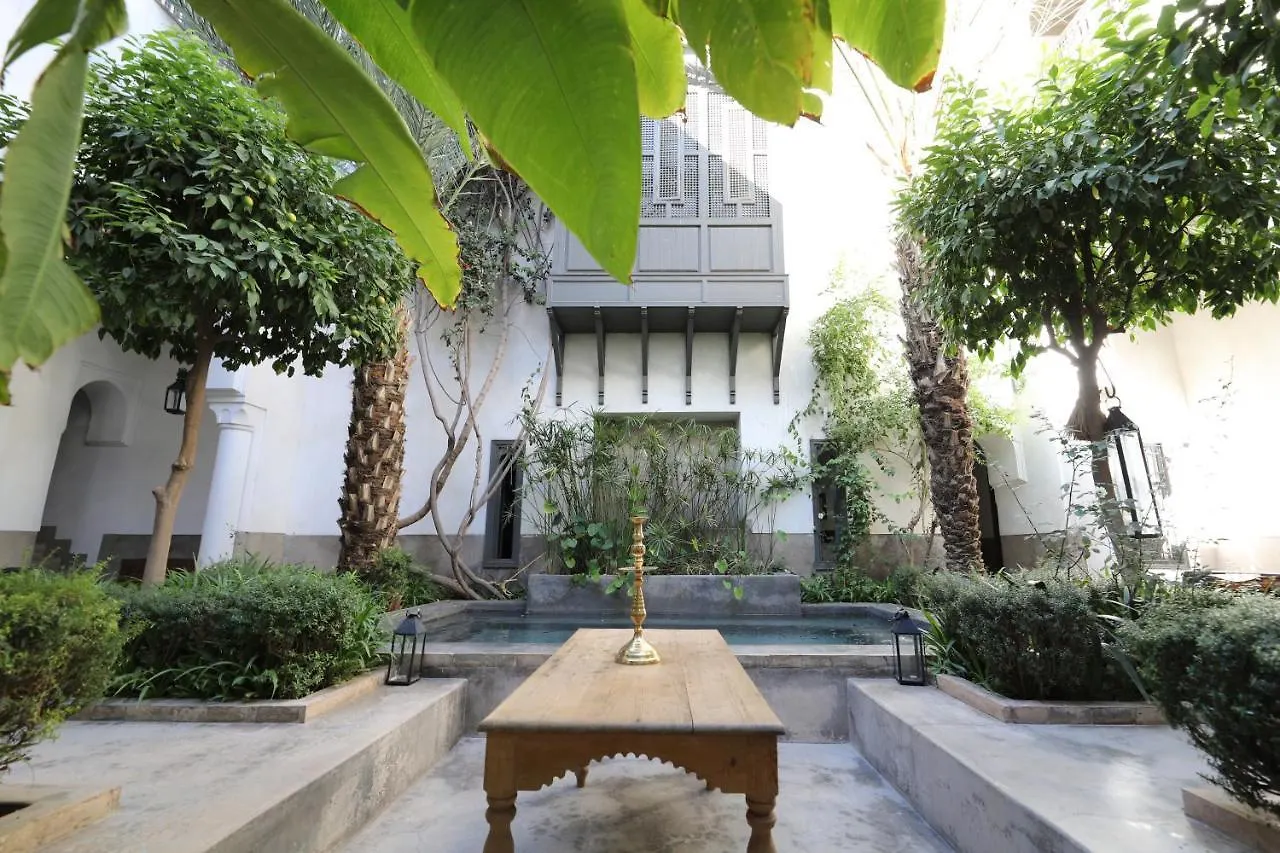 Riad Zaouia 44 Marrakesh Marocko